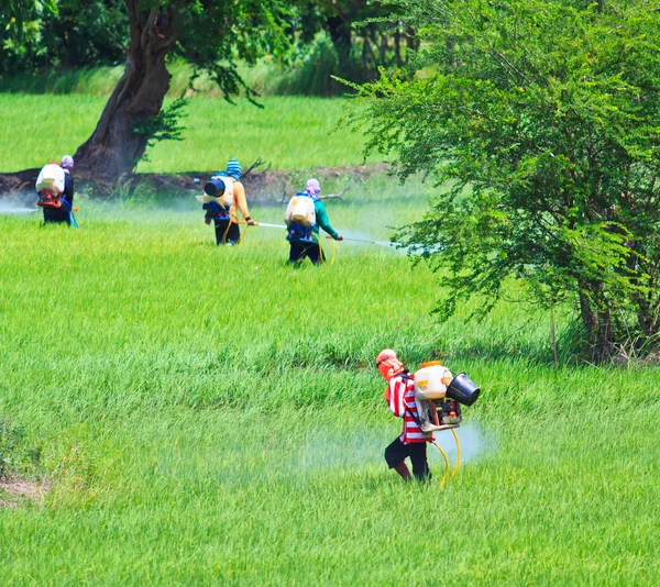 Insecticida en aerosol agricultor —  Fotos de Stock