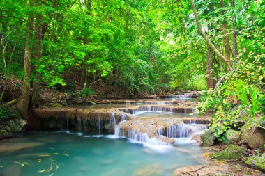 şaşırtıcı şelale