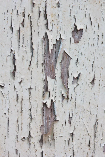 Old paint on a wooden door — Stock Photo, Image