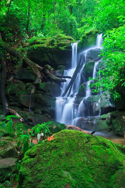 Beautiful Waterfall
