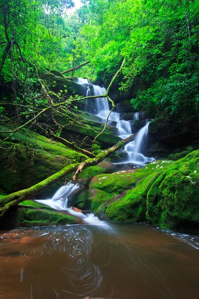 Hermosa cascada — Foto de Stock