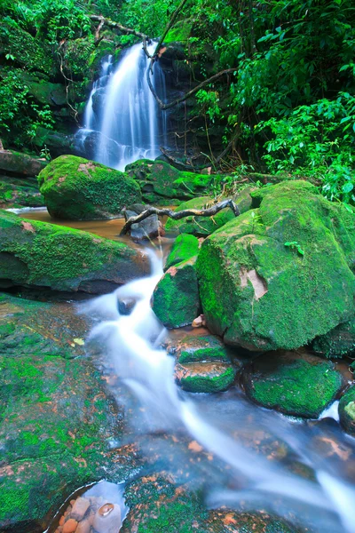 Bela cachoeira — Fotografia de Stock