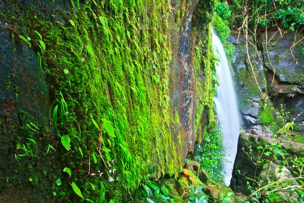 Piękny wodospad — Zdjęcie stockowe