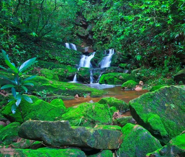 Schöner Wasserfall — Stockfoto