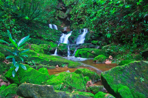 Bela cachoeira — Fotografia de Stock