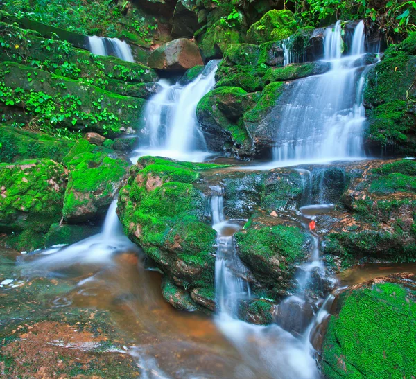 Hermosa cascada — Foto de Stock