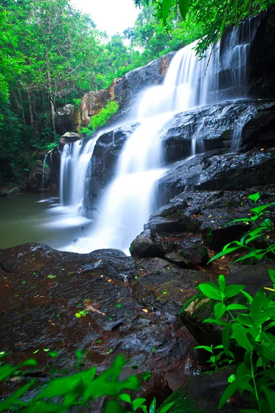 Deep forest waterfall — Stock Photo, Image