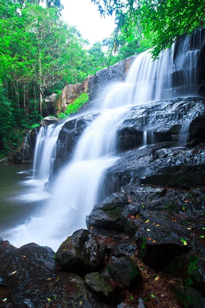 Cascada del bosque profundo —  Fotos de Stock