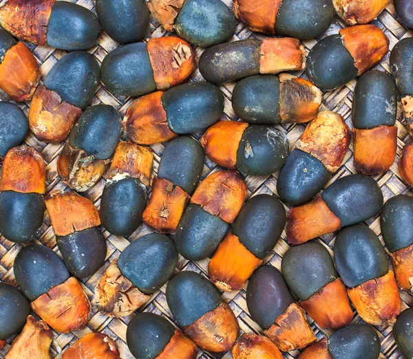 Seed plants texture — Stock Photo, Image