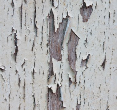 eski ahşap bir kapı boya