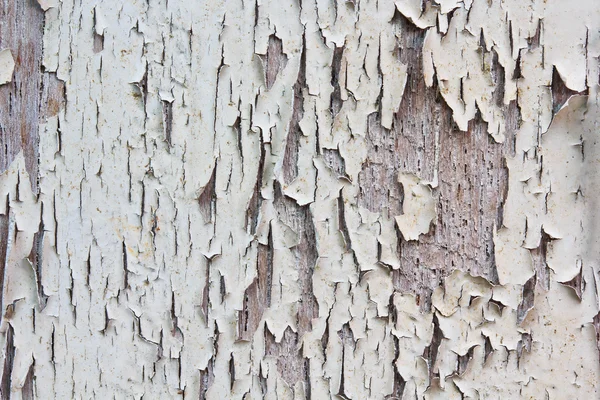 Pintura vieja en una puerta de madera —  Fotos de Stock