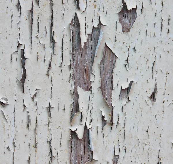 Alte Farbe an einer Holztür — Stockfoto