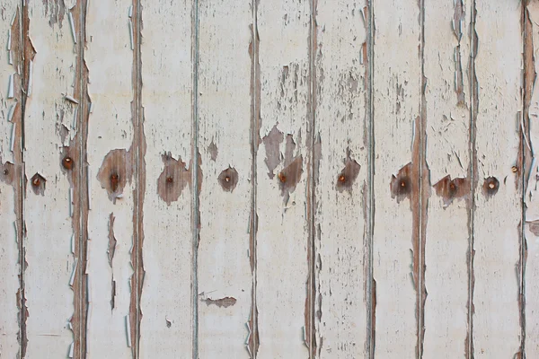 Gamla trä dörr bakgrund — Stockfoto