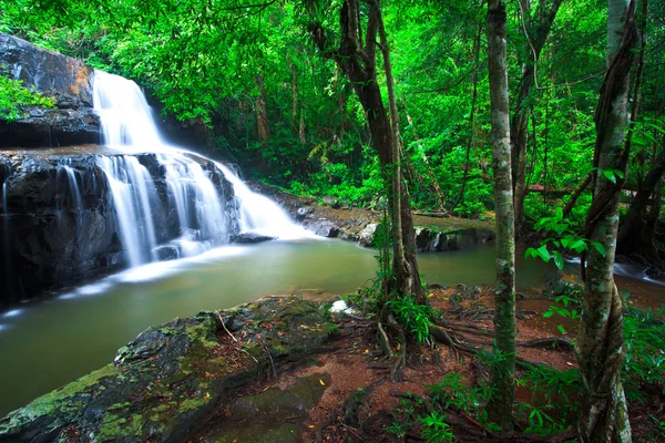 Cascada del bosque profundo — Foto de Stock