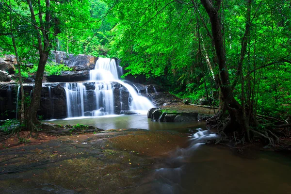 Cascada del bosque profundo — Foto de Stock