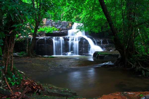 Cascada del bosque profundo —  Fotos de Stock