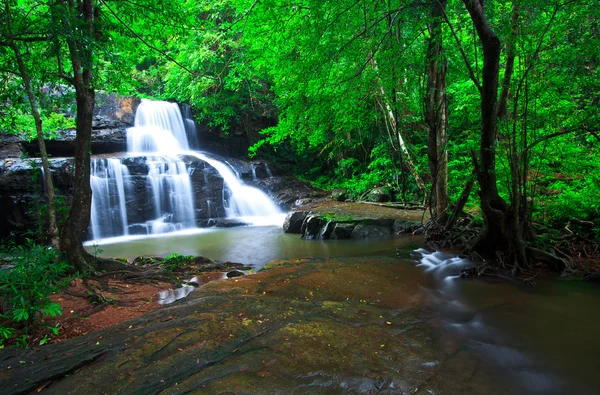 Deep forest waterfall — Stock Photo, Image