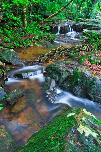 Deep forest waterfal — Stock Photo, Image