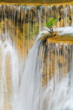 Orman şelale ve mavi akım
