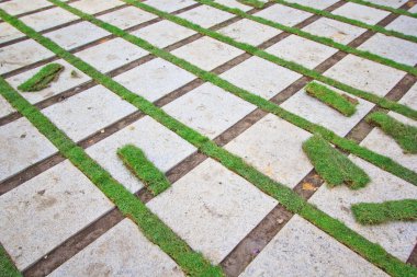 tuğla bakımlı çim