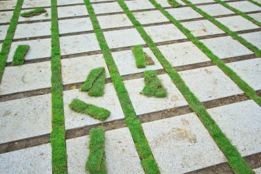 tuğla bakımlı çim