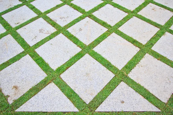 Brick with manicured lawn — Stock Photo, Image