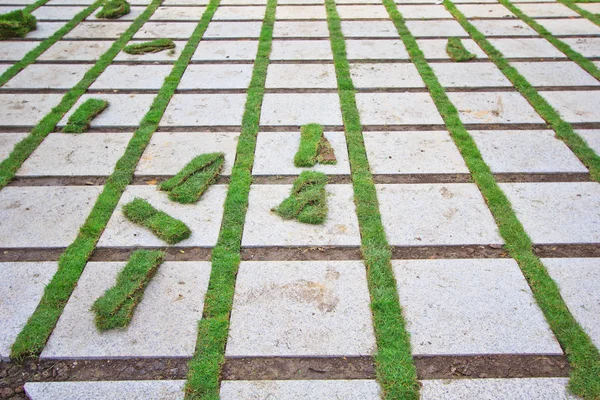 Brick with manicured lawn — Stock Photo, Image