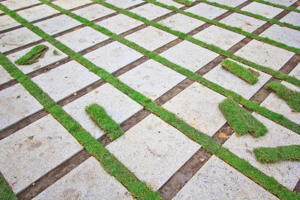 Brick with manicured lawn — Stock Photo, Image