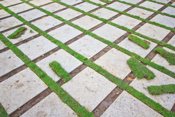 Tijolo com gramado bem cuidado — Fotografia de Stock