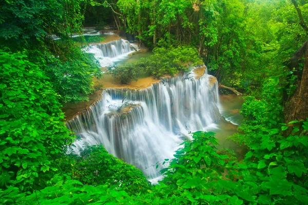 Ormanda şelale — Stok fotoğraf