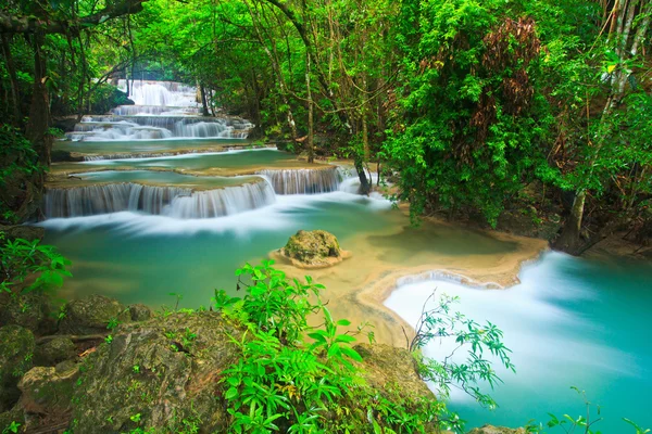 Wasserfall im Wald — Stockfoto