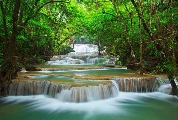 Cachoeira na floresta — Fotografia de Stock