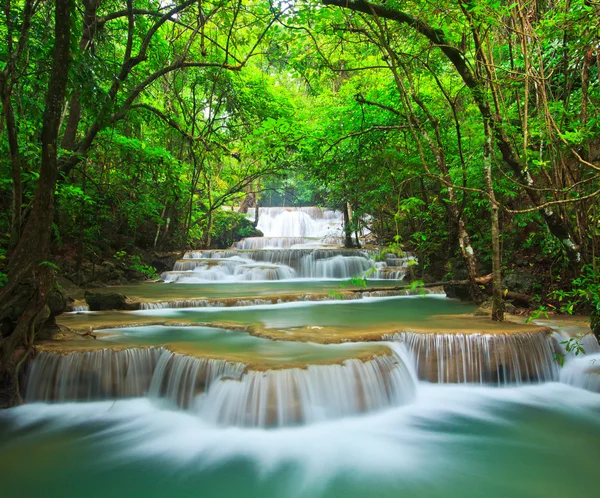 Cascade dans la forêt — Photo