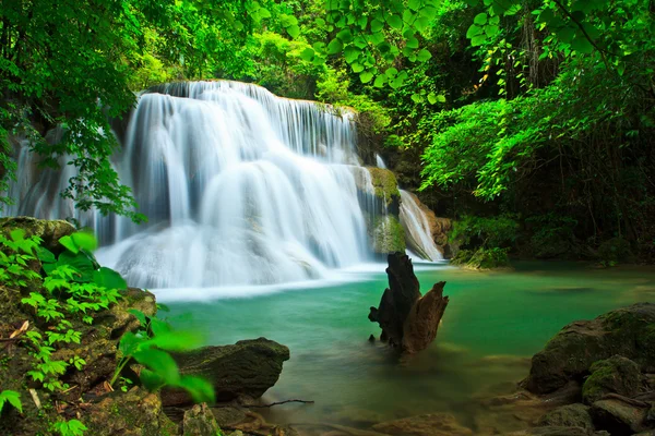 Cascade dans la forêt — Photo