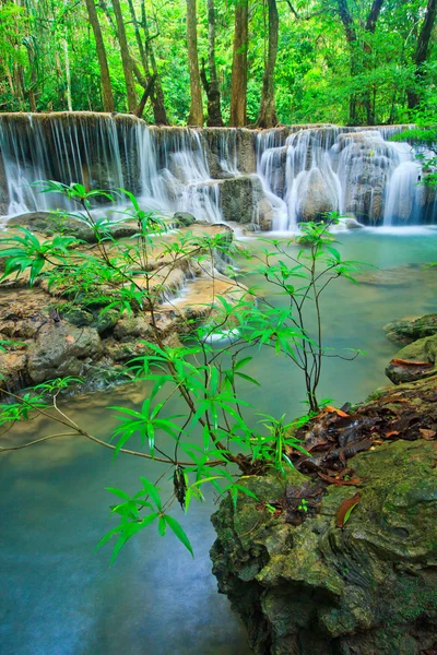 Cascada en el bosque —  Fotos de Stock