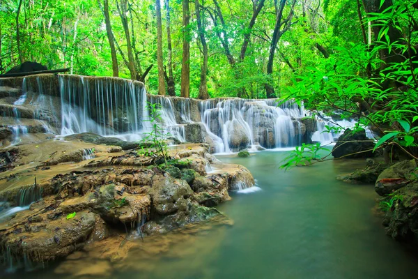 Cascada en el bosque —  Fotos de Stock