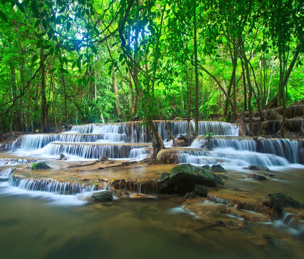 Cachoeira na floresta — Fotografia de Stock