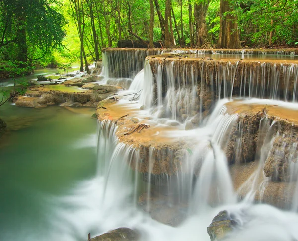 Cascade dans la forêt — Photo