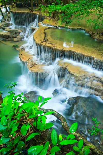 Ormanda şelale — Stok fotoğraf