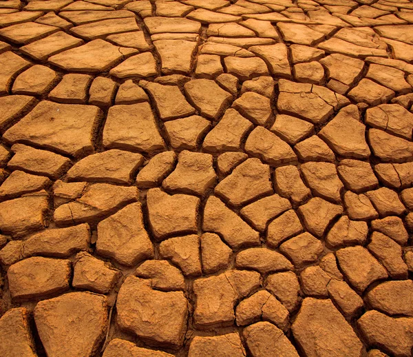 Pôr do sol sobre terra rachada — Fotografia de Stock