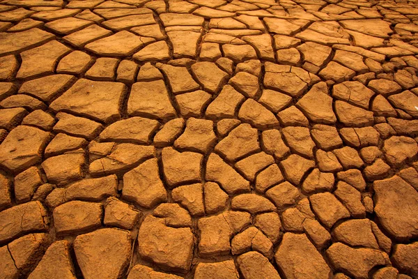 Sunset over cracked land — Stock Photo, Image