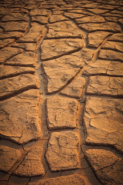 Pęknięty gleby ziemi — Zdjęcie stockowe