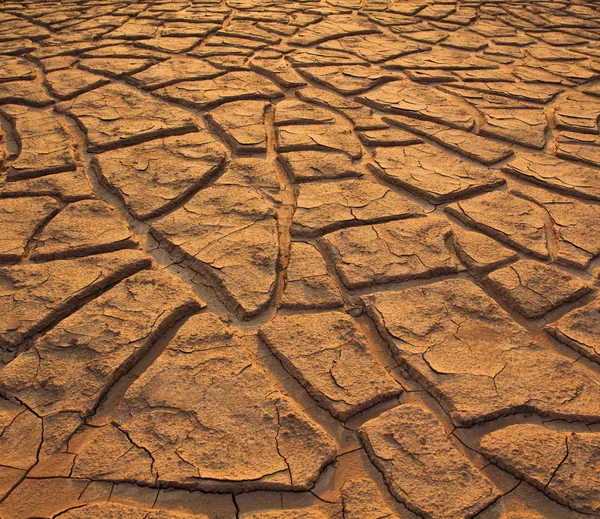 Suelo agrietado — Foto de Stock