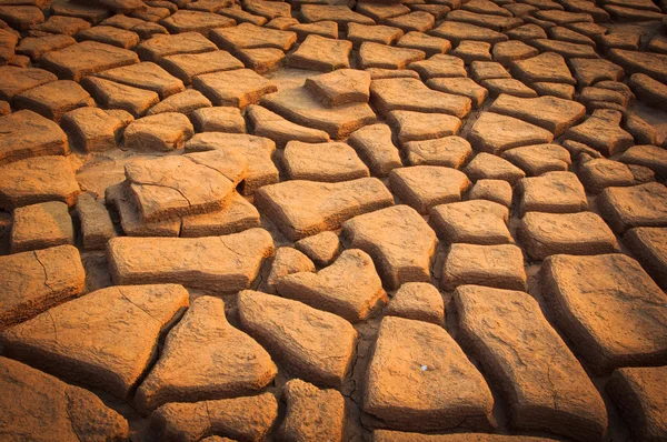 Cracked soil ground — Stock Photo, Image