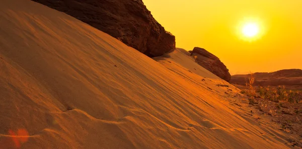 Vue sur les dunes le matin — Photo