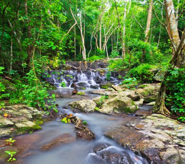 yağmur ormanlarında şelale