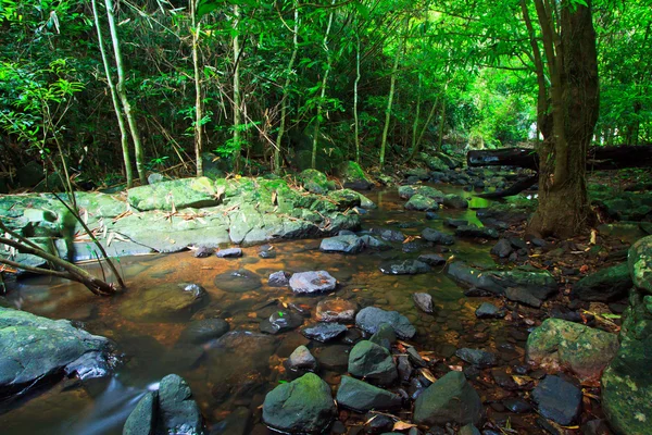 Deep forest waterfall — Stock Photo, Image