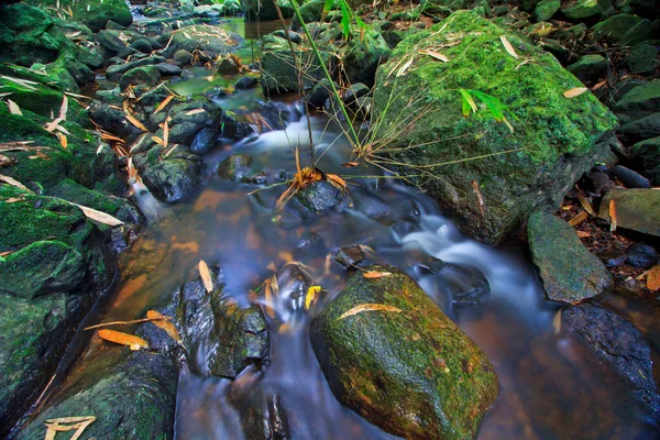 Deep forest waterfall — Stock Photo, Image