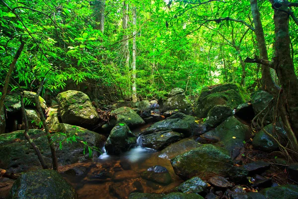 Chute d'eau forestière — Photo