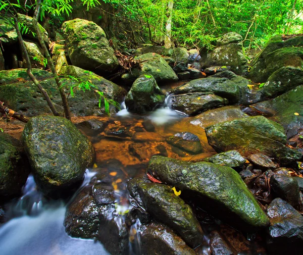 Cascata forestale — Foto Stock